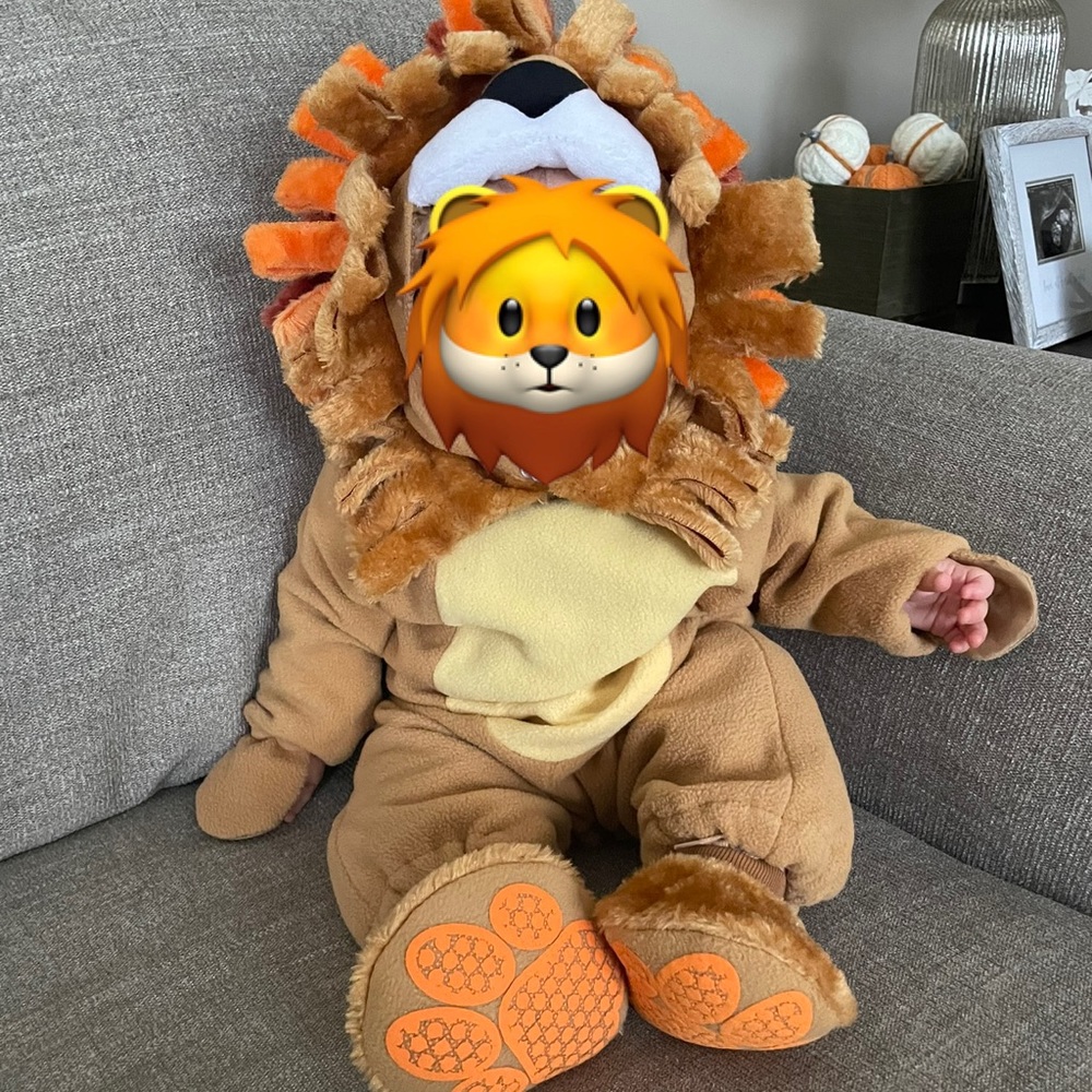 Infant Lion Halloween Costume